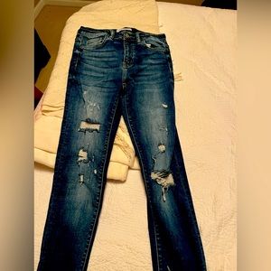 Flying Monkey - Distressed 28